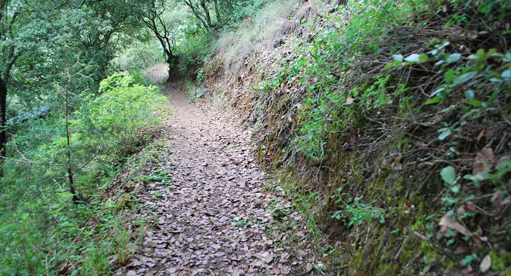 Centro Ecoturistico El Banxu