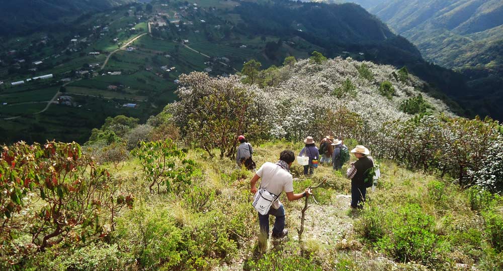 Centro Ecoturistico El Banxu