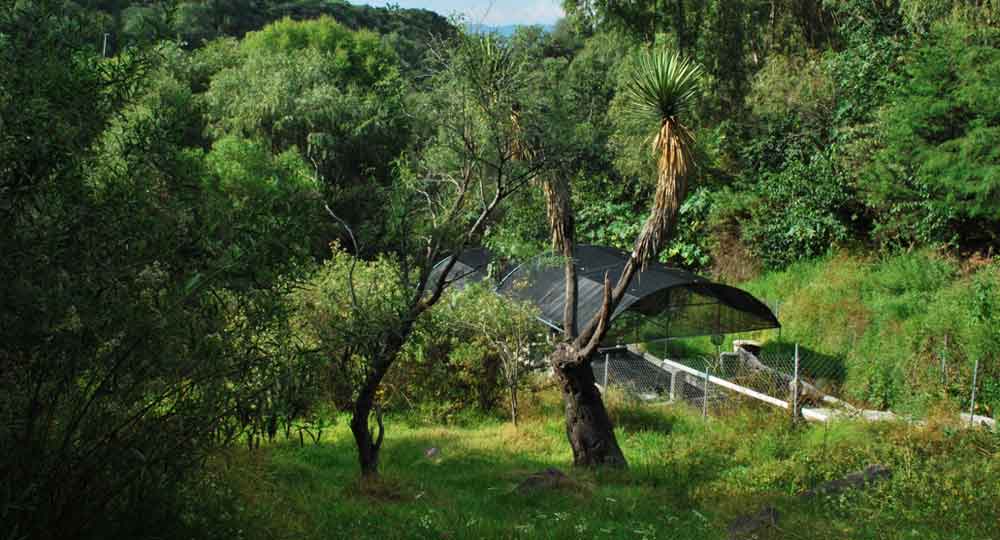 Parque Ecoturistico Xindho 