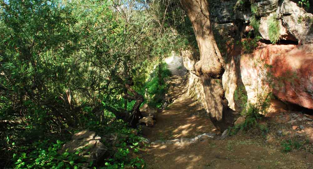 Parque Ecoturistico Xindho 