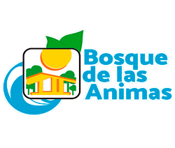 Balneario Bosque de las Animas | Tecozautla Hidalgo